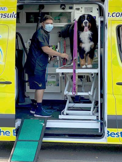 Mobile pet grooming bay area