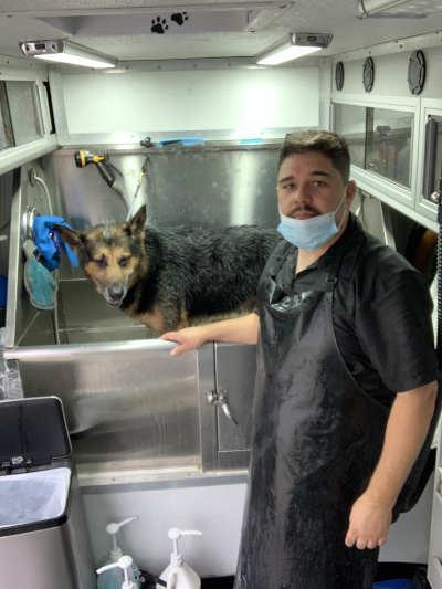 Mobile pet grooming bay area