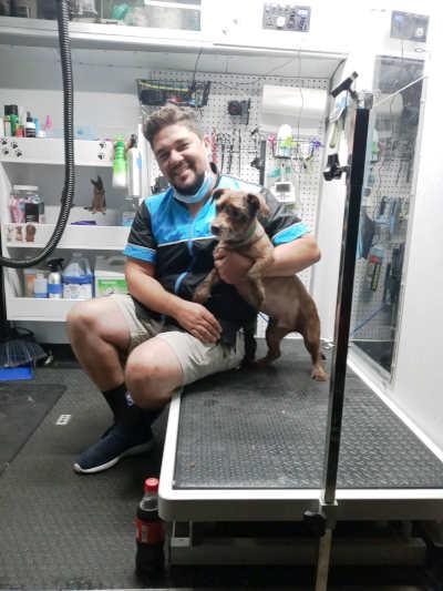 Mobile pet grooming bay area